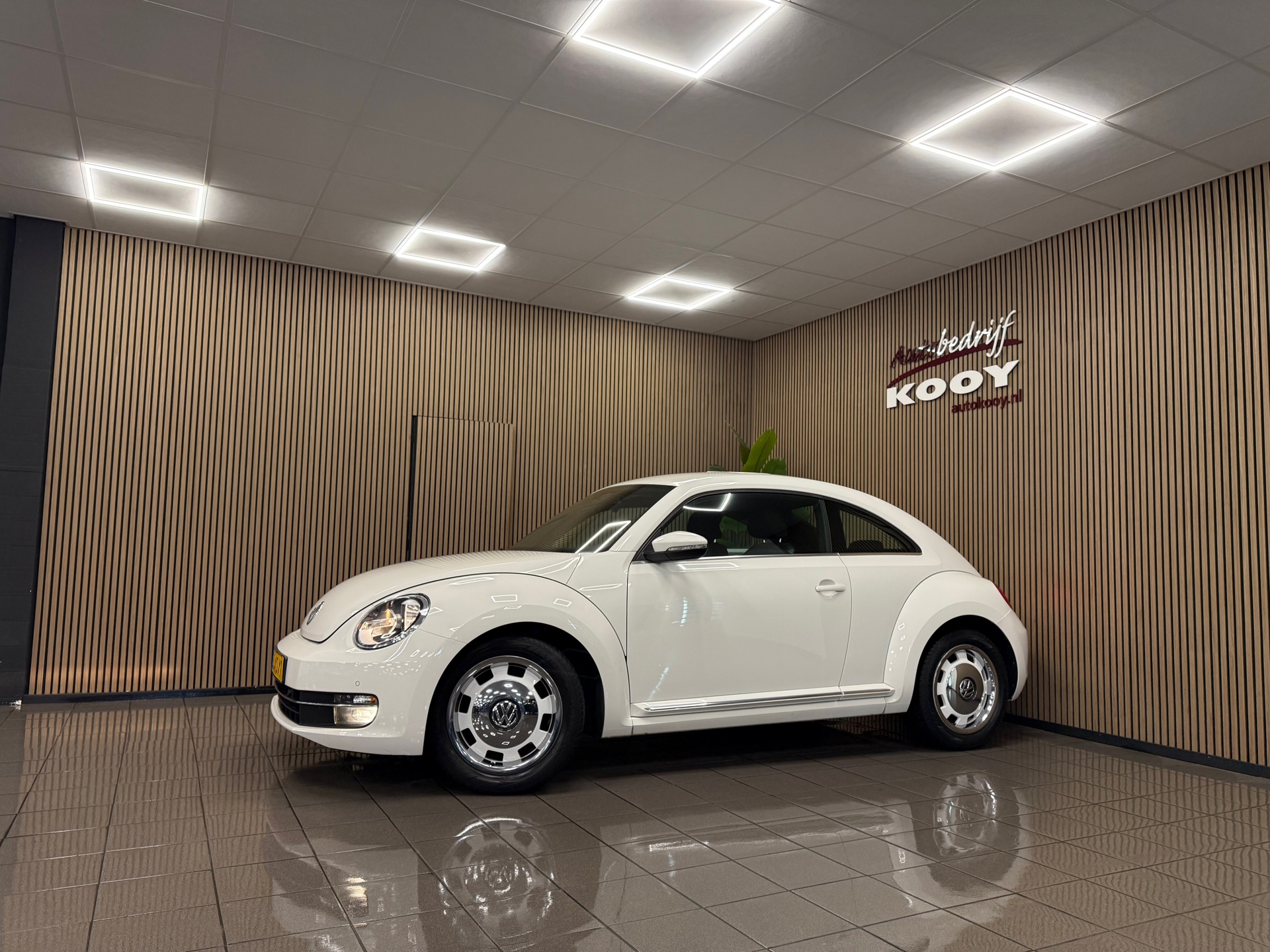https://www.autokooy.nl//xml/images/56581411-9.JPG